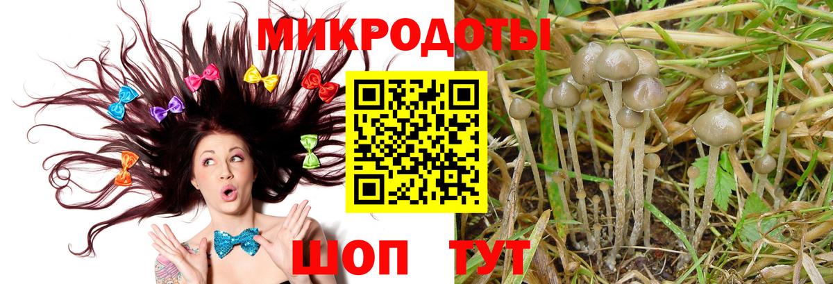 Дзержинский  Псилоцибиновые грибы Psilocybe  Вход с VPN 